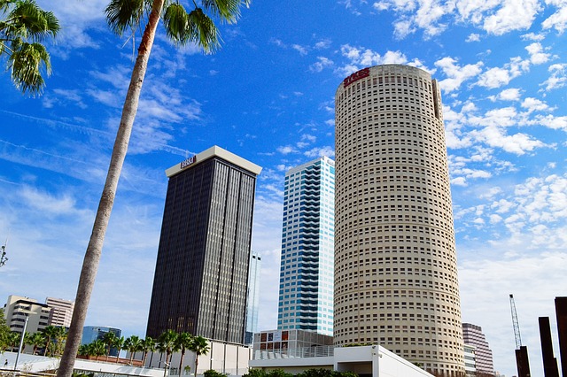 lawyer,lawsuit,nursing home,Tampa FL