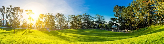 lawyer,lawsuit,San Francisco CA
