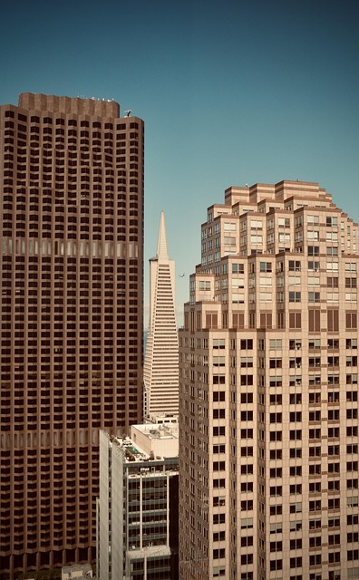 lawyer,lawsuit,San Francisco CA