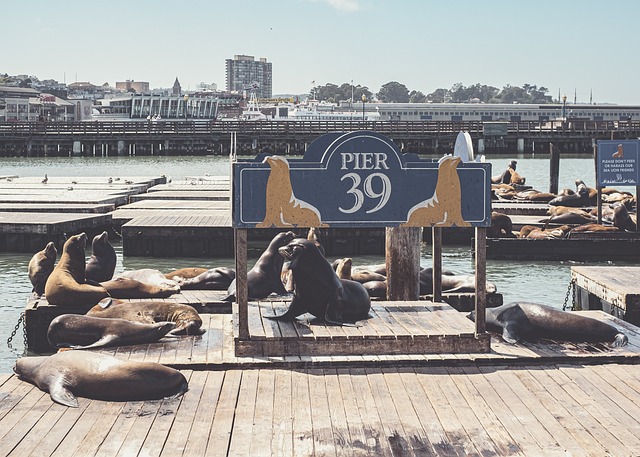 lawyer,lawsuit,San Francisco CA