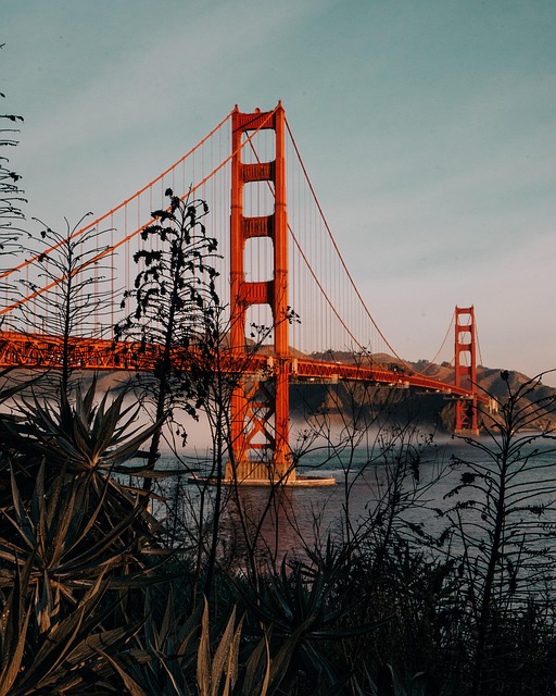 lawyer,lawsuit,San Francisco CA