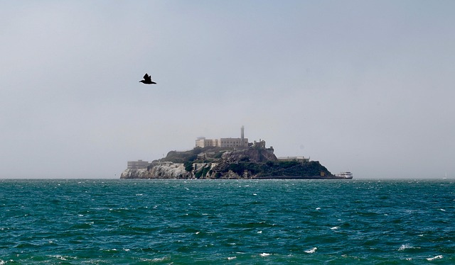 lawyer,lawsuit,San Francisco CA
