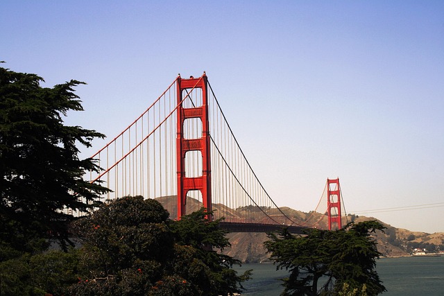 lawyer,lawsuit,San Francisco CA