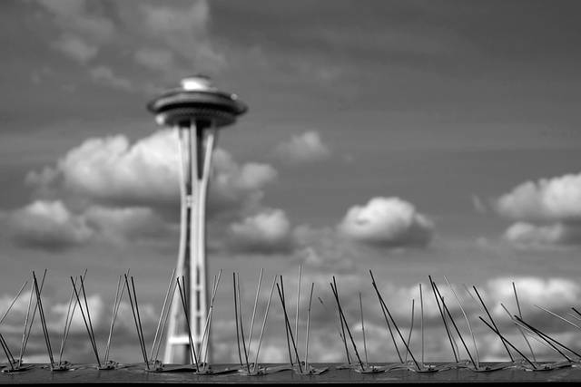 lawyer,lawsuit,Seattle WA