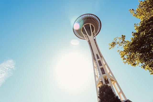lawyer,lawsuit,Seattle WA
