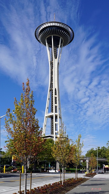 lawyer,lawsuit,Seattle WA