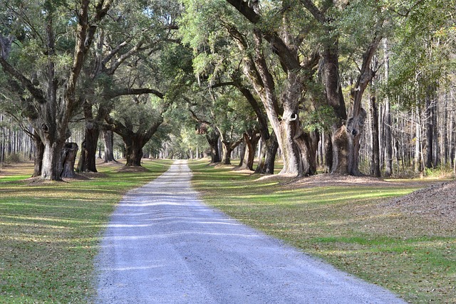 lawyer,lawsuit,South Carolina
