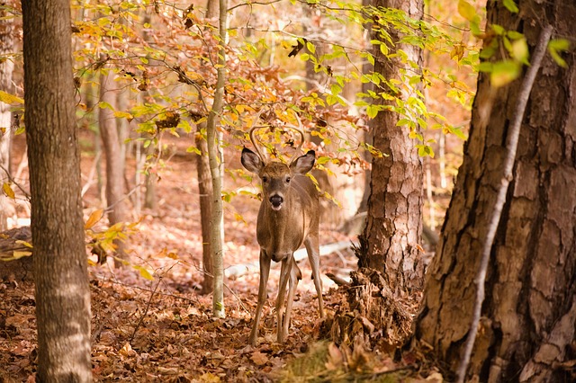 lawyer,lawsuit,South Carolina