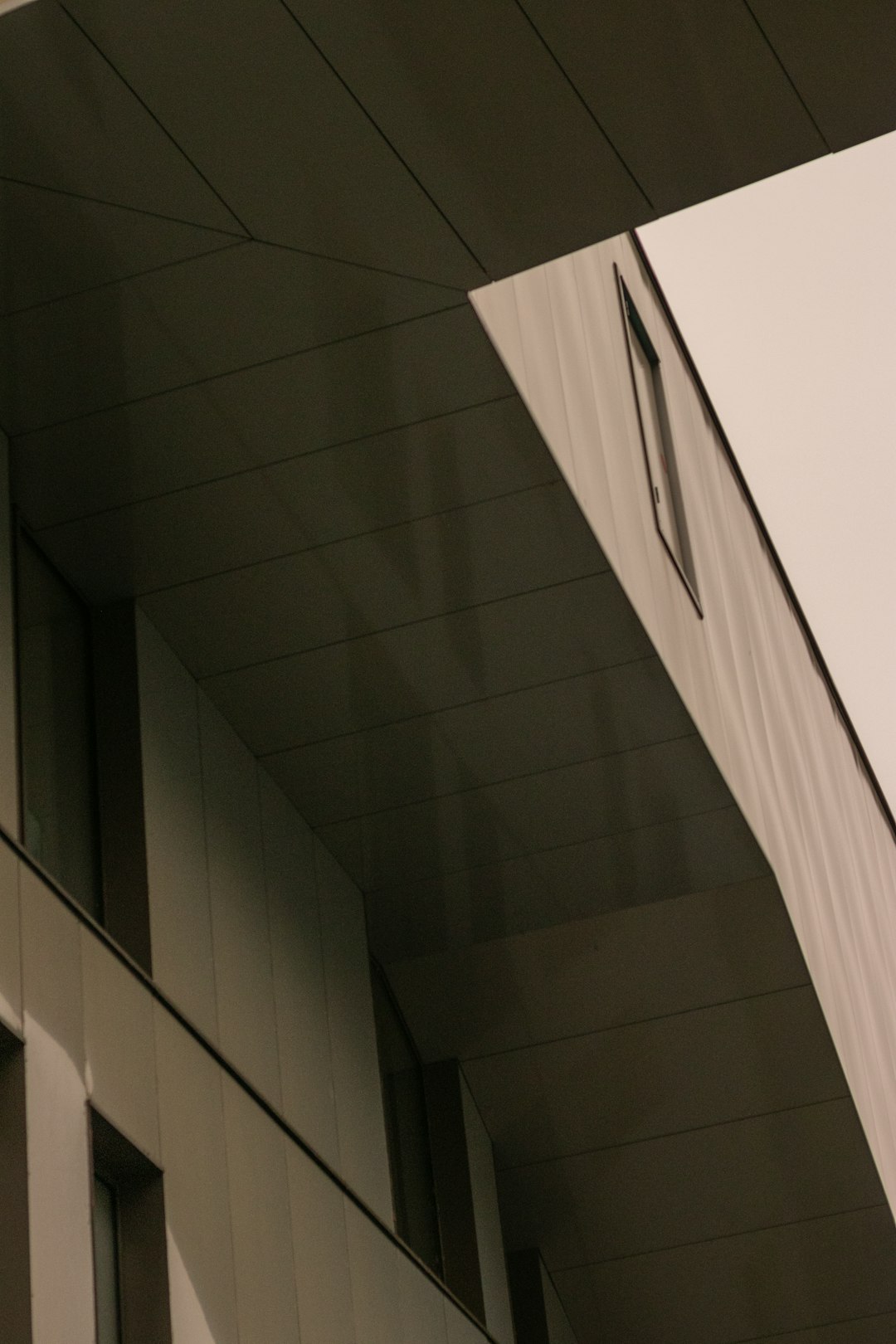 lawyer,lawsuit,Texas