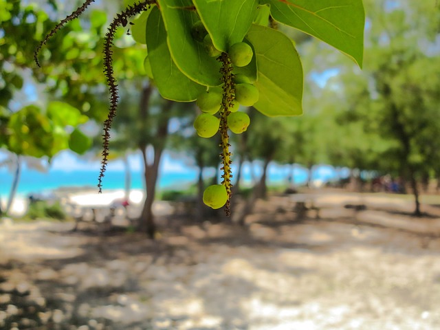 Miami FL