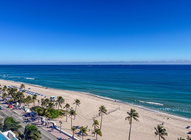 Miami FL