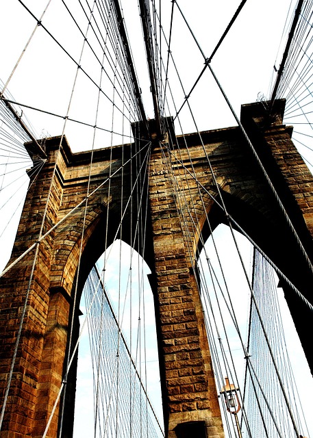 New York NY