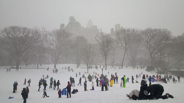 New York NY