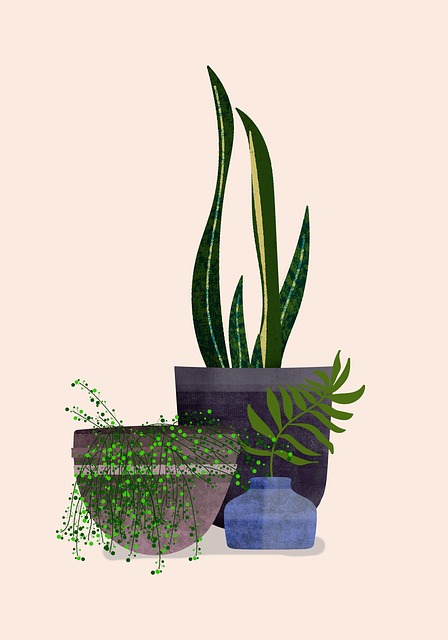 npressfetimg-239.png