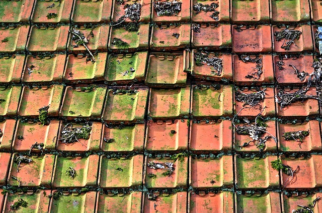 roof