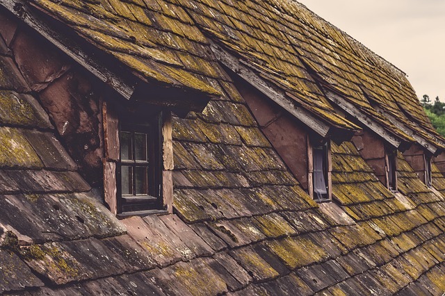 roof-640x480-22382147.jpeg