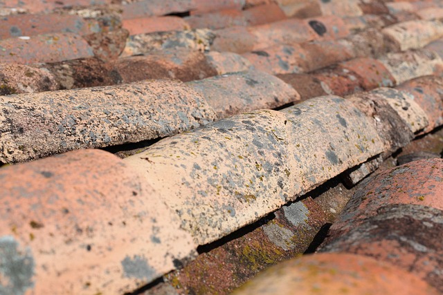 roof-640x480-37074388.jpeg