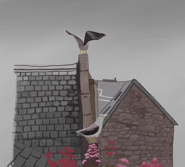 roof-640x480-81623912.jpeg