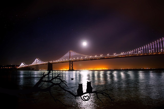 San Francisco CA