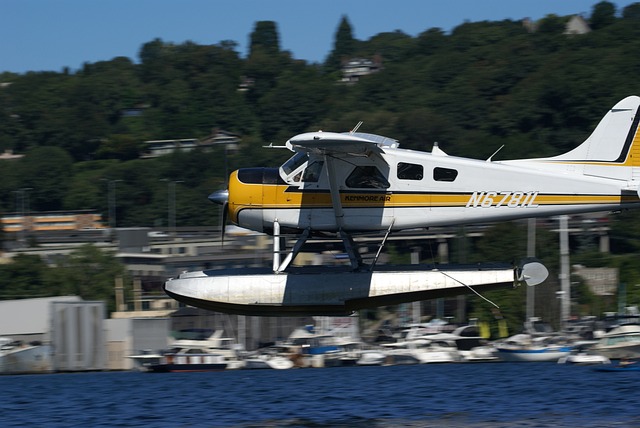 Seattle WA