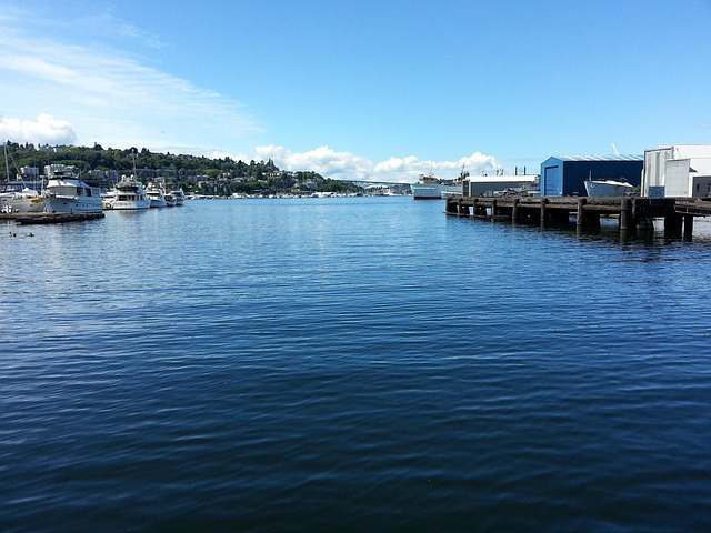 Seattle WA