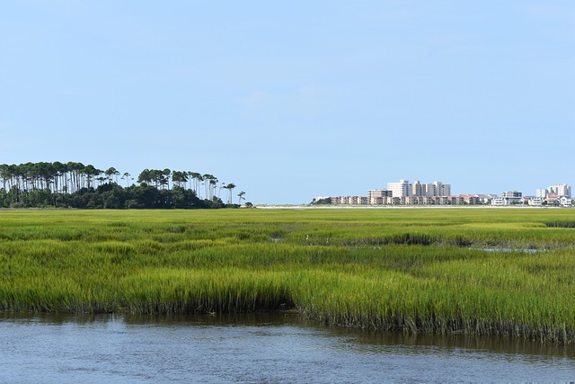 South Carolina