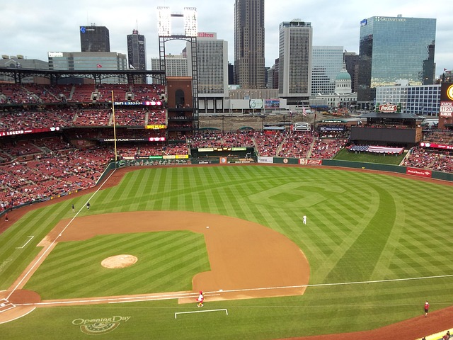 St. Louis MO