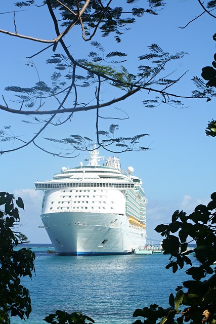 cruise ship