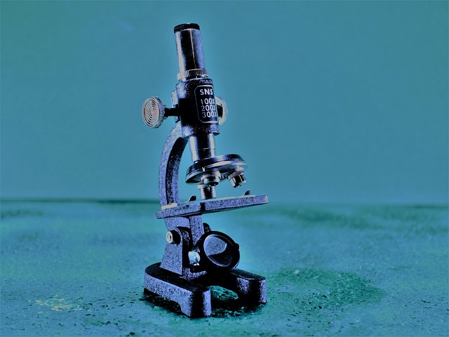 doctor-640x480-2576197.jpeg