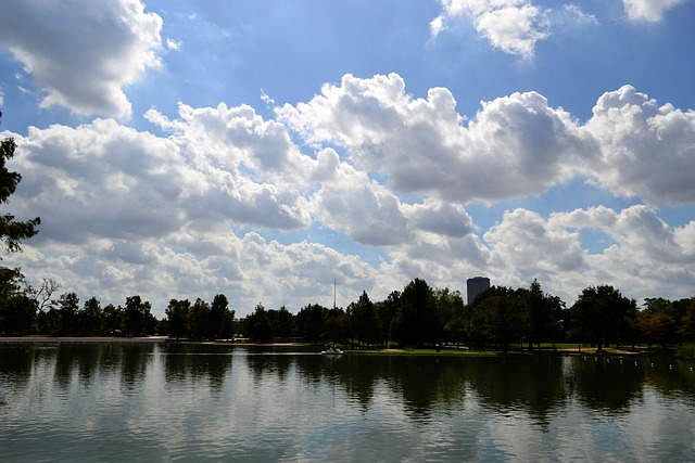 Houston TX