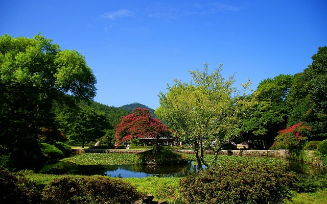 lawyer,lawsuit,Columbus OH