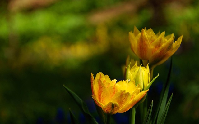 lawyer,lawsuit,Columbus OH