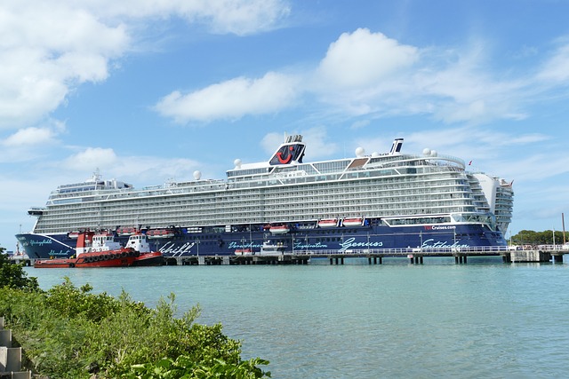 lawyer,lawsuit,cruise ship,Baltimore MD