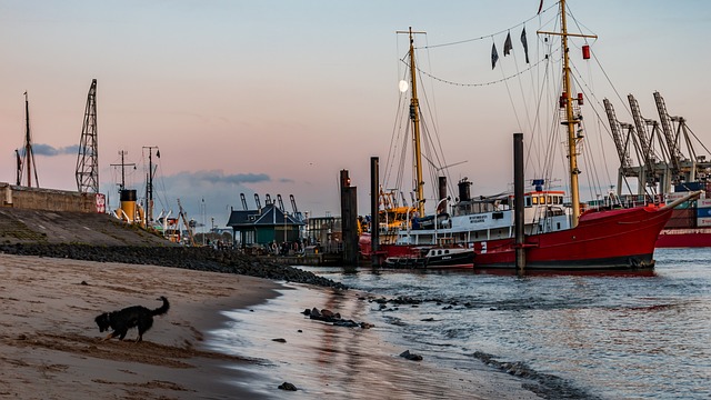 lawyer,lawsuit,cruise ship,Jersey City NJ