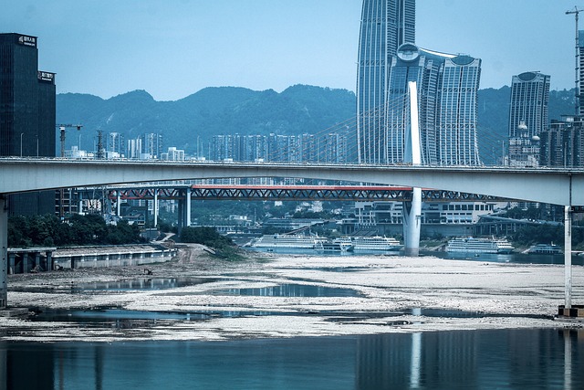 lawyer,lawsuit,cruise ship,Portland OR