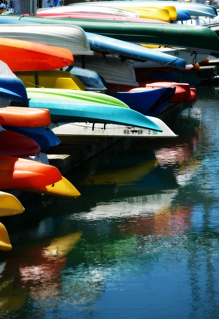 lawyer,lawsuit,cruise ship,San Diego CA