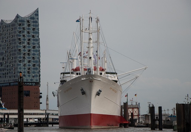 lawyer,lawsuit,cruise ship,San Diego CA