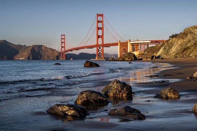 lawyer,lawsuit,cruise ship,San Francisco CA