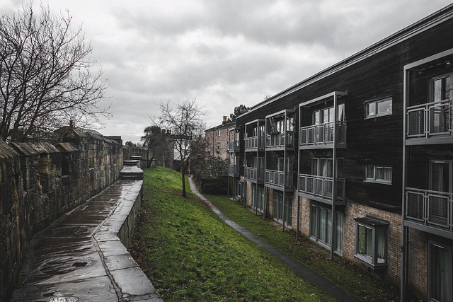 lawyer,lawsuit,New York