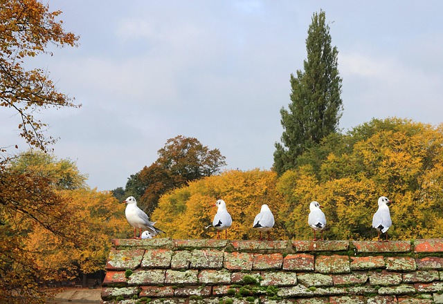 lawyer,lawsuit,New York