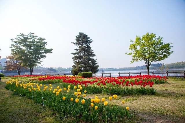 lawyer,lawsuit,nursing home,Chicago IL