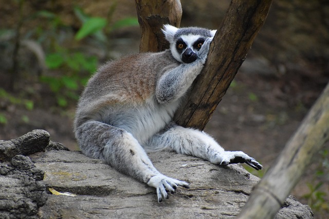 lawyer,lawsuit,nursing home,Dallas TX