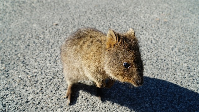 lawyer,lawsuit,nursing home,Seattle WA