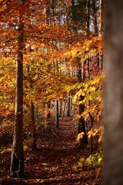 lawyer,lawsuit,nursing home,South Carolina