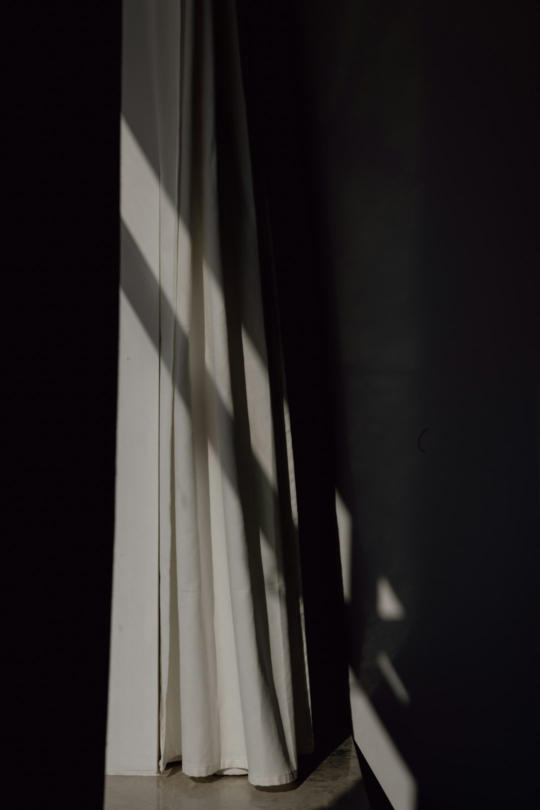 lawyer,lawsuit,Oregon