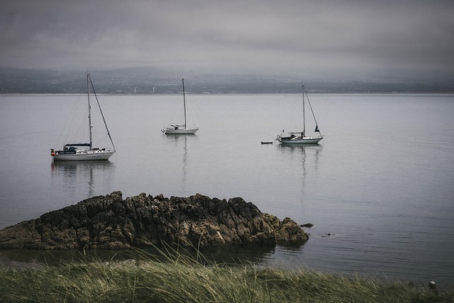 lawyer,lawsuit,Rhode Island