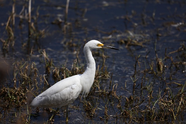 lawyer,lawsuit,San Antonio TX