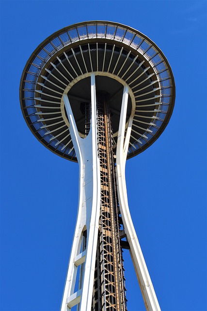 lawyer,lawsuit,Seattle WA