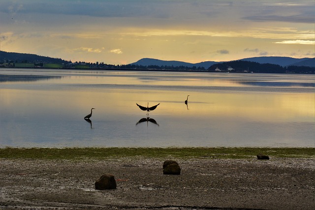 lawyer,lawsuit,Seattle WA