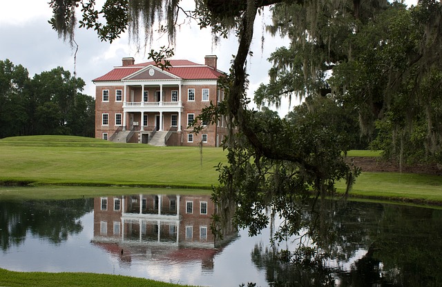 lawyer,lawsuit,South Carolina